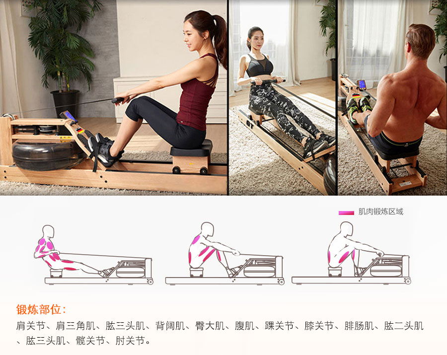 BCE606 水阻劃船器 櫸木木質(zhì)水阻劃船機(jī)